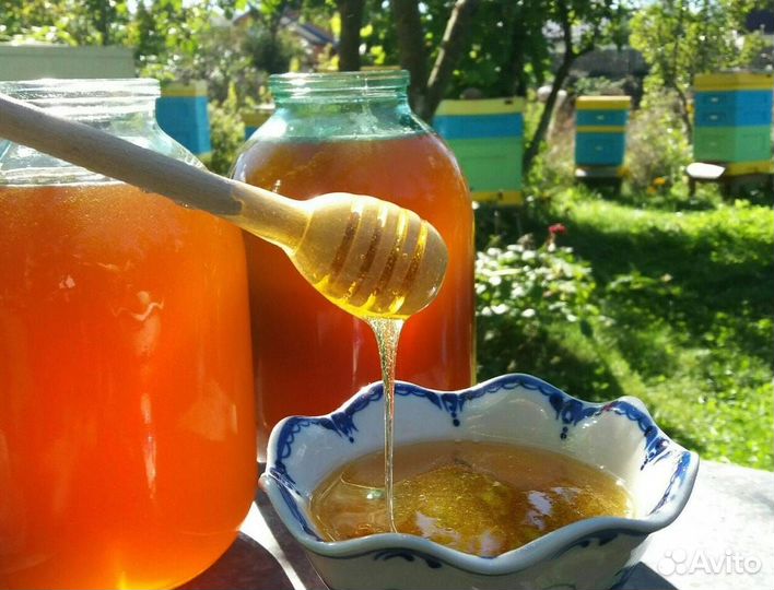 Мед 2023г натуральный