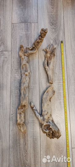 Коряги дрифтвуд