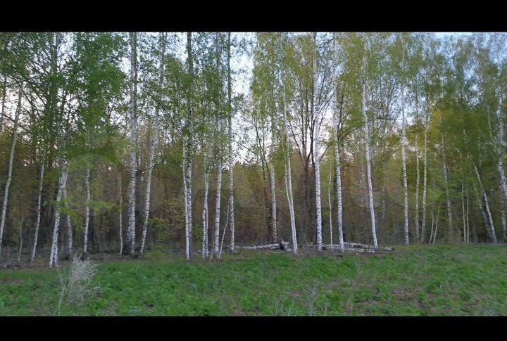 Участок 12 сот. (ИЖС)