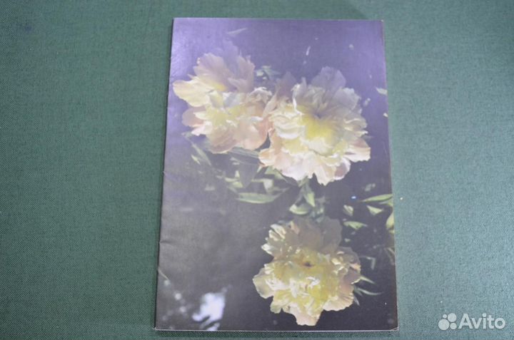 Альбом для рисования 