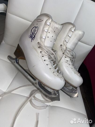 Коньки фигурные Edea Chorus 240