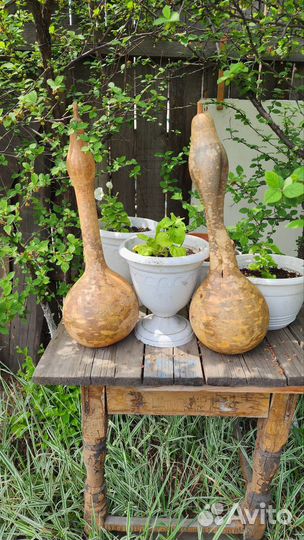 Тыква декоративная лагенария горлянка