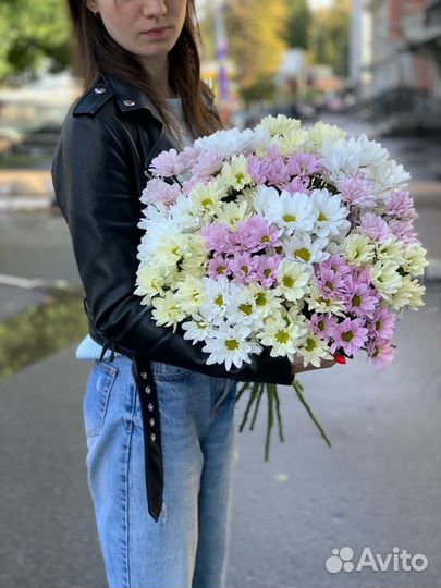 Ромашки, букет, цветы