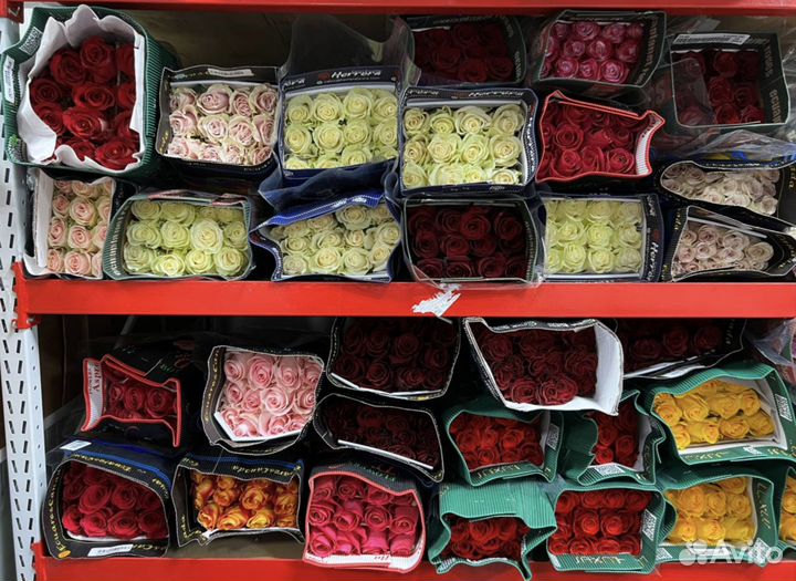 Цветы розы оптом