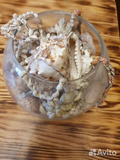 Интерьерная ваза с морскими раковинами