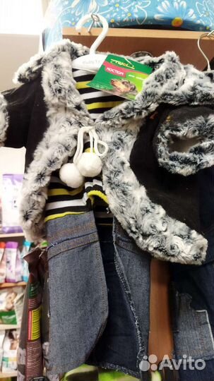 Одежда для собак