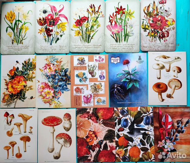 Открытки современные цветы, птицы