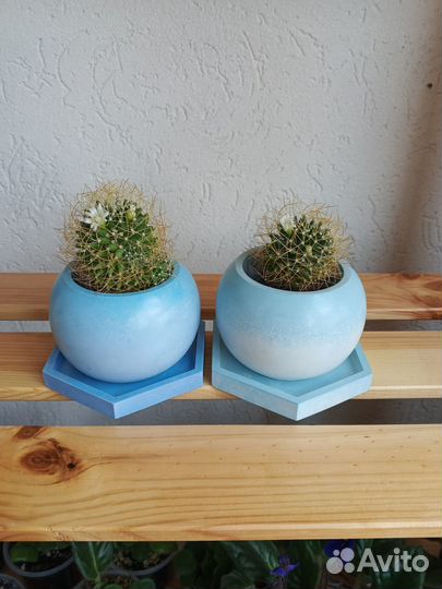 Кашпо для цветов.Цветы