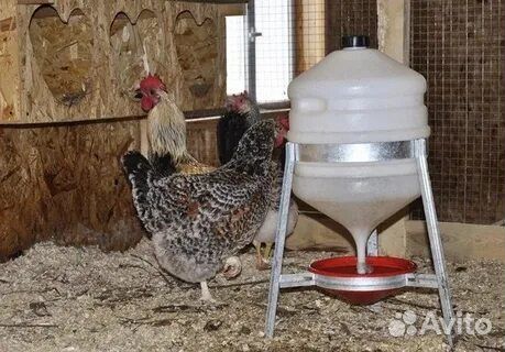 Поилка сифонная на металлических ножках 30 л