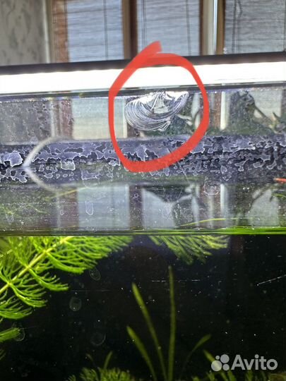 Аквариум со всем оборудованием и рыбками