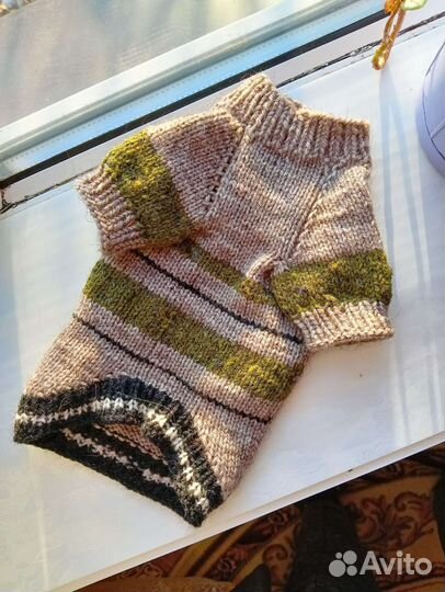 Одежда для кошек