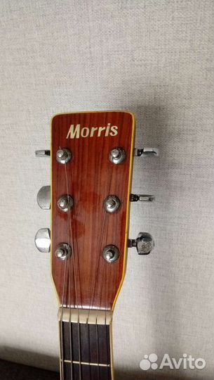 Акустическая гитара Morris