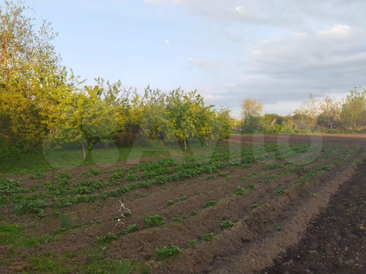 Дом 59,4 м² на участке 19 сот.