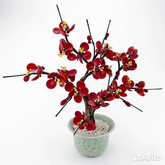 Дерево счастья (денежное дерево) 