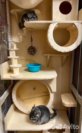 Витрина для шиншиллы дегу вольер клетка