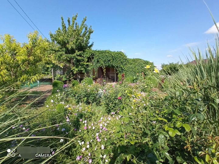 Дом 65 м² на участке 4 сот.