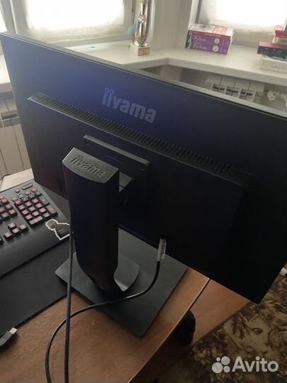 Монитор iiyama 24 дюйма IPS 75гц