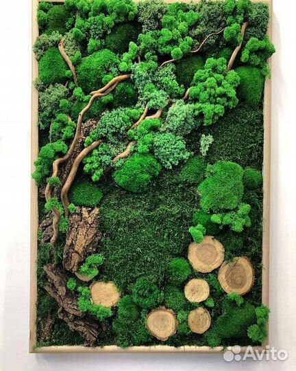 Картина из стабилизированного мха