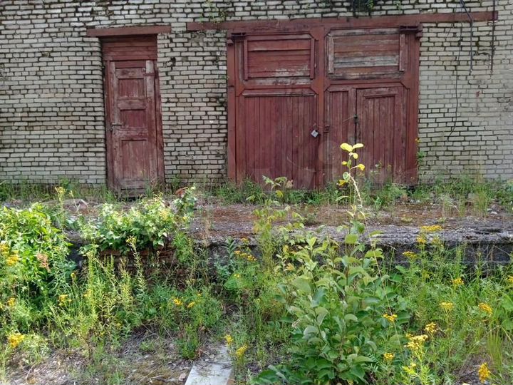 Свободного назначения, 459.7 м²