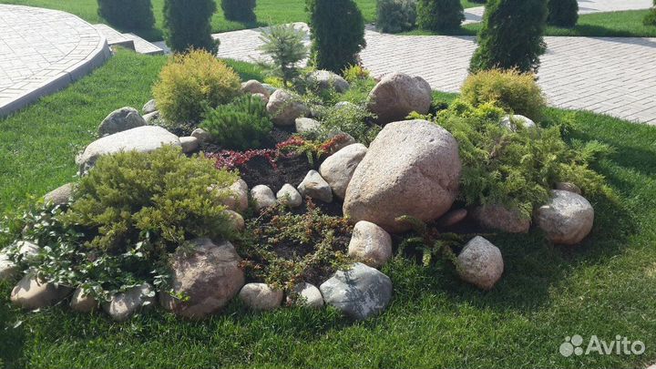 Рулонный газон от производителя. Укладка газона