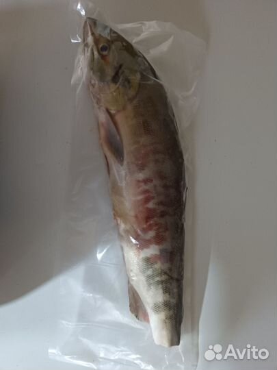 Кета свежемороженая