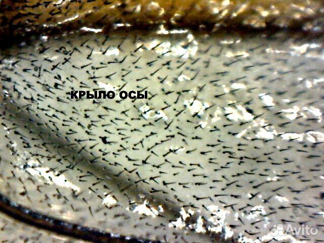 Цифровой USB микроскоп MV600UM2 (трихоскоп)