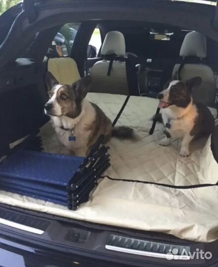 Лестница для собак