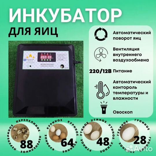 Инкубатор на 64 куриных яиц