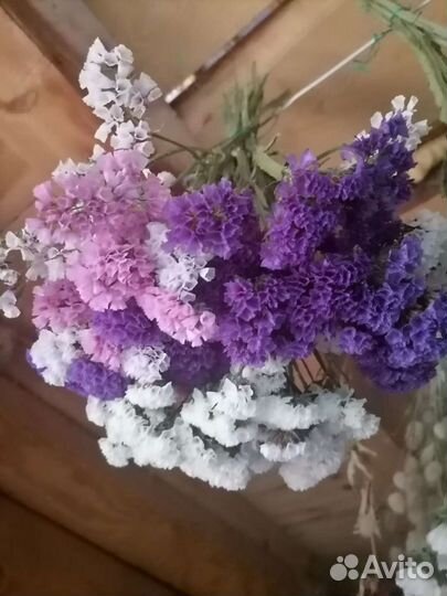 Статица на срезку