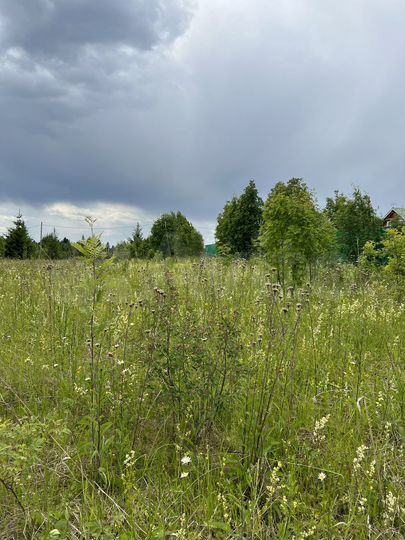 Участок 10 сот. (СНТ, ДНП)