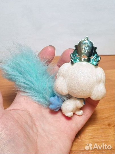 Тыковка,щенок Золушки