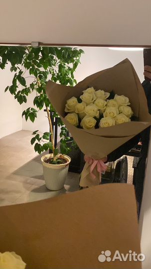 25 роз. 35 роз. 51 роза с упаковкой. Белые розы