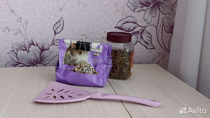 Клетка для джунгарского хомяка