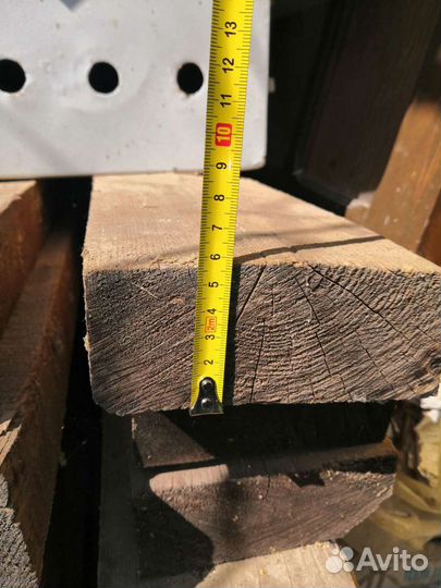 Лиственница сибирская