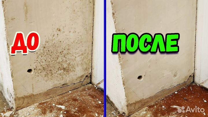 Уничтожение клопов, тараканов, мышей, муравьев