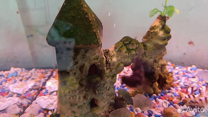 Аквариум 100литров