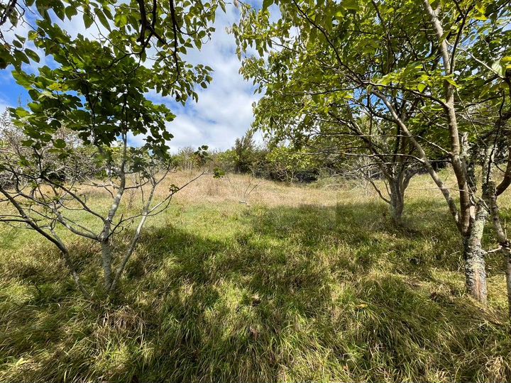 Участок 12 сот. (ИЖС)