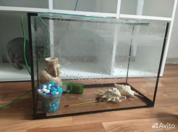Аквариум