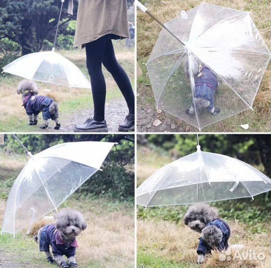 Зонт для собак