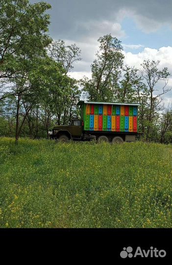 Пчелопавильон