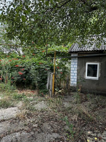 Дом 45 м² на участке 24 сот.