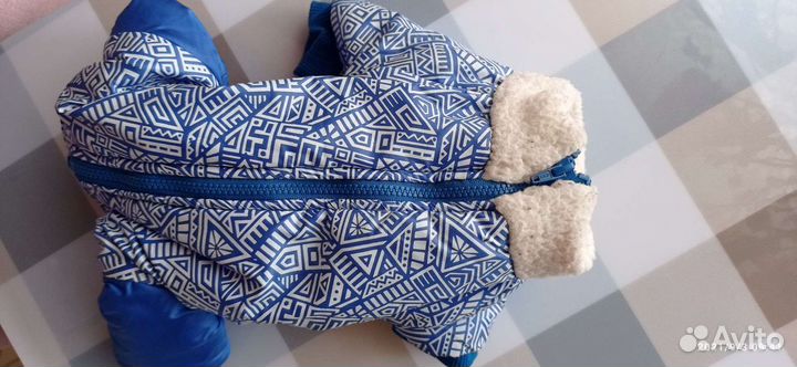 Комбинезон Для мелкой собачки