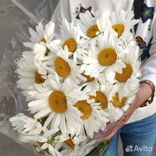 Ромашки оптом