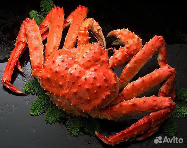 Краб камчатский,краб стригун, краб камча