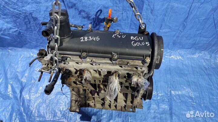 Двигатель VW Golf 5 1.6 BGU