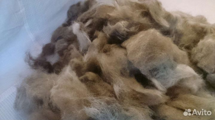 Собачья шерсть