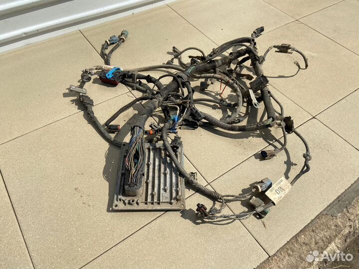 Проводка двигателя Ford Focus 2