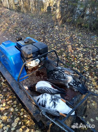 Мото-буксировщик