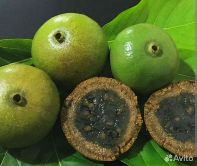 Комнатная экзотика-редкие растения