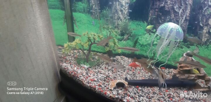 Аквариум б.у 200 литров